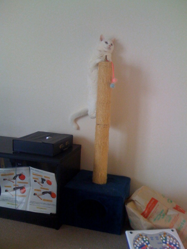 image/marinedolf-2009-02-22T09:25:51-1.jpg